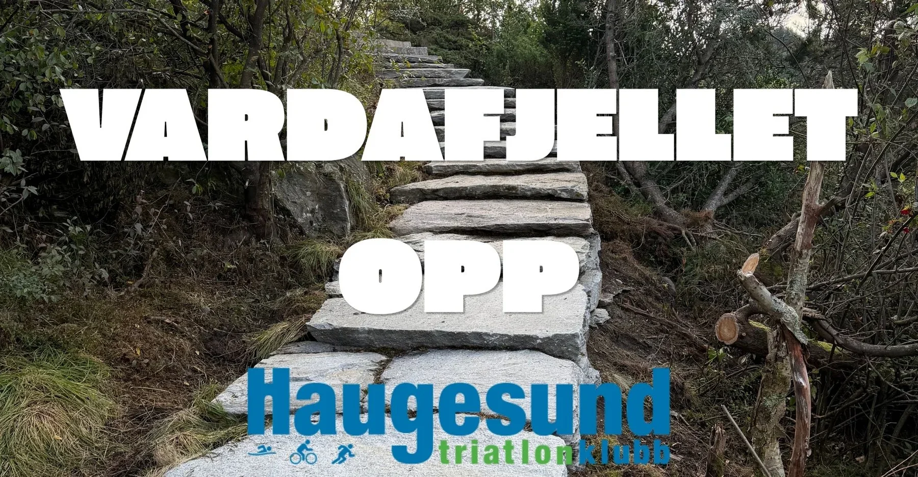 Vardafjellet Opp
